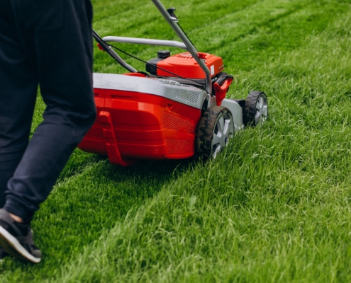 Mowing and Gardening | Sidik Garden Services